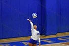 Volleyball vs Babson  Wheaton Women's Volleyball vs Babson College. - Photo by Keith Nordstrom : Wheaton, Volleyball, VB